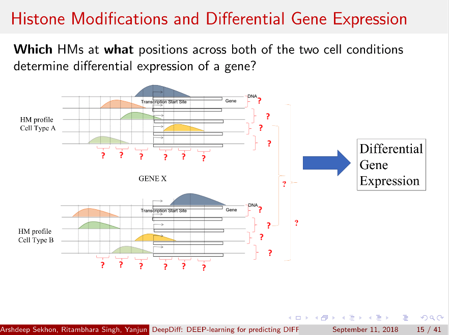 DeepDiff- Deep-learning for predicting Differential gene expression ...